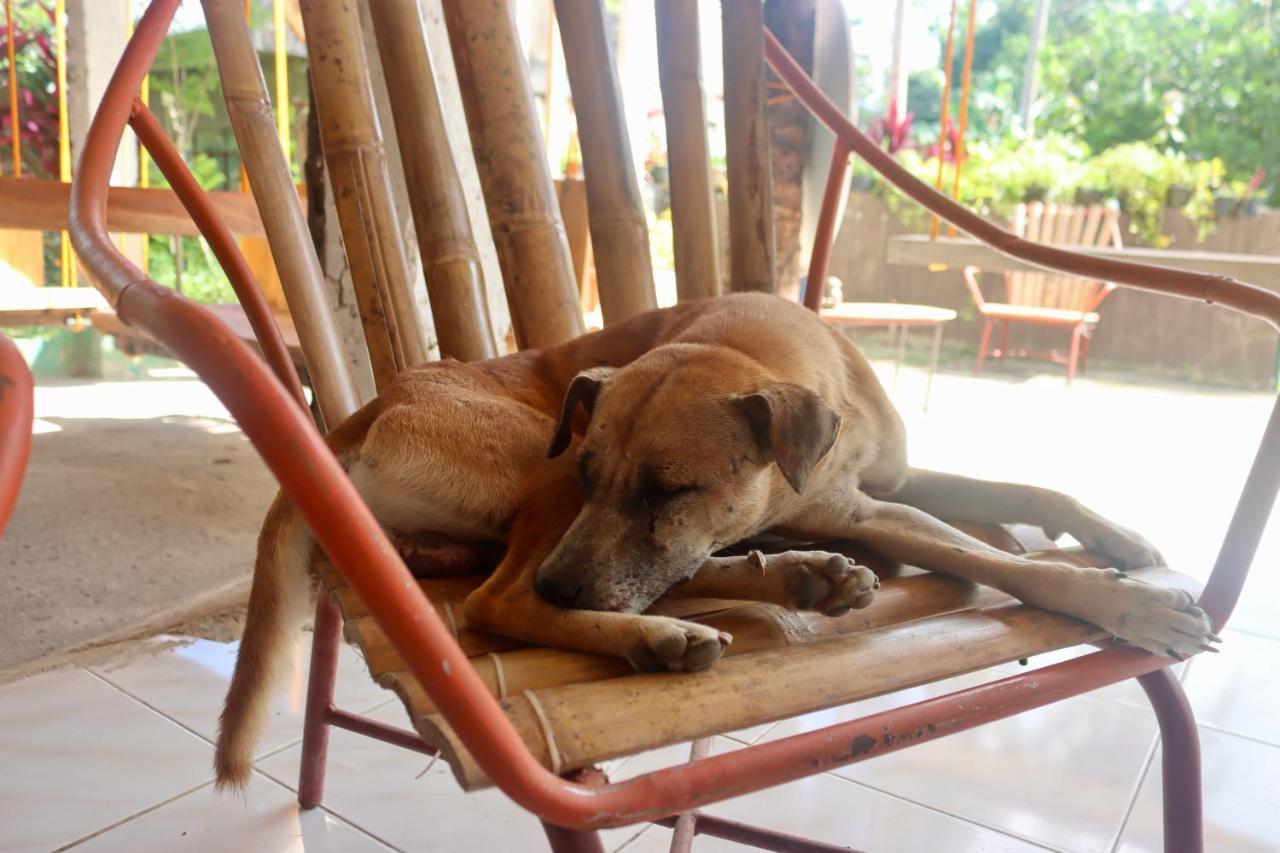 Bohol Hammock Hostel Batuan Екстер'єр фото
