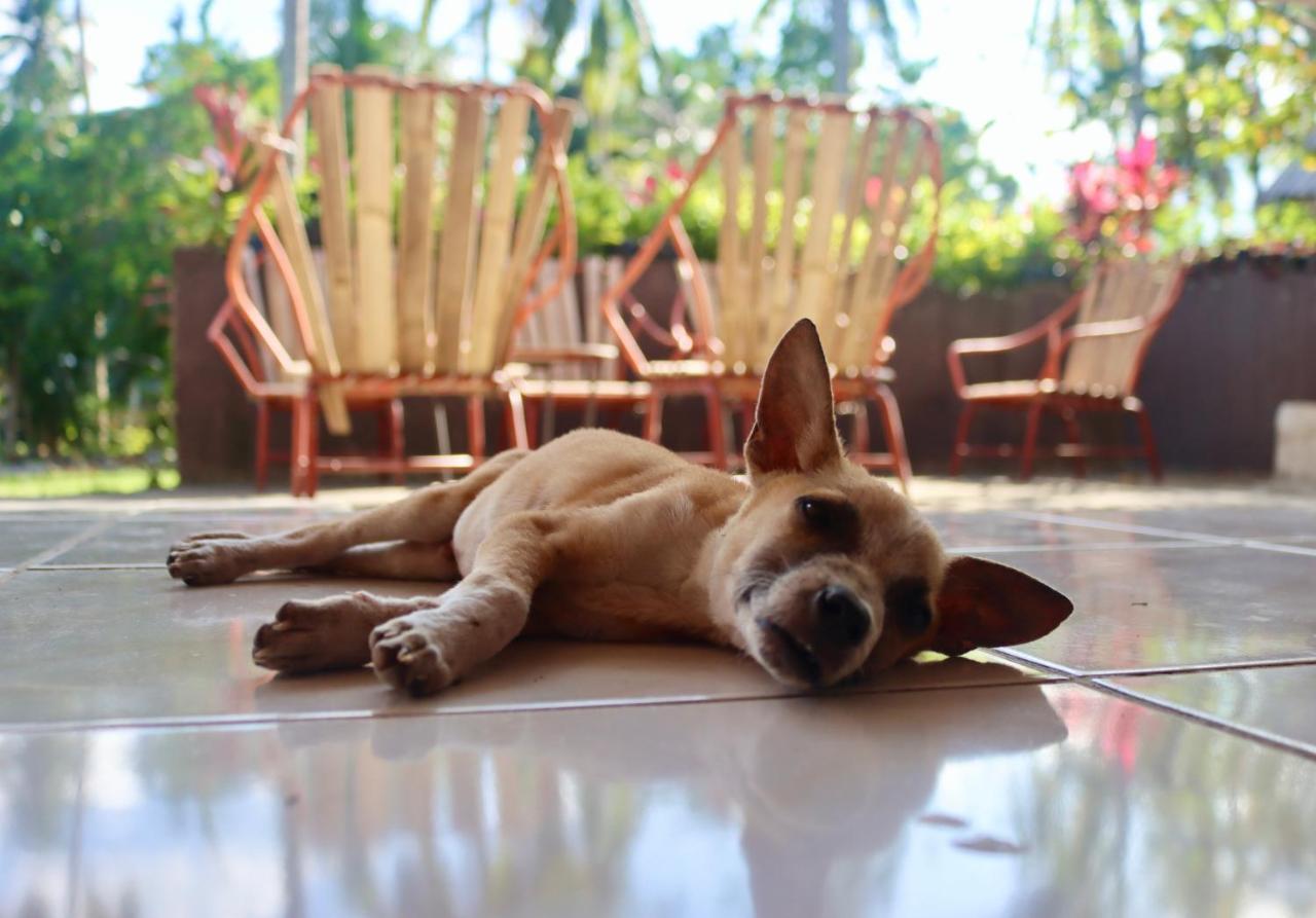 Bohol Hammock Hostel Batuan Екстер'єр фото