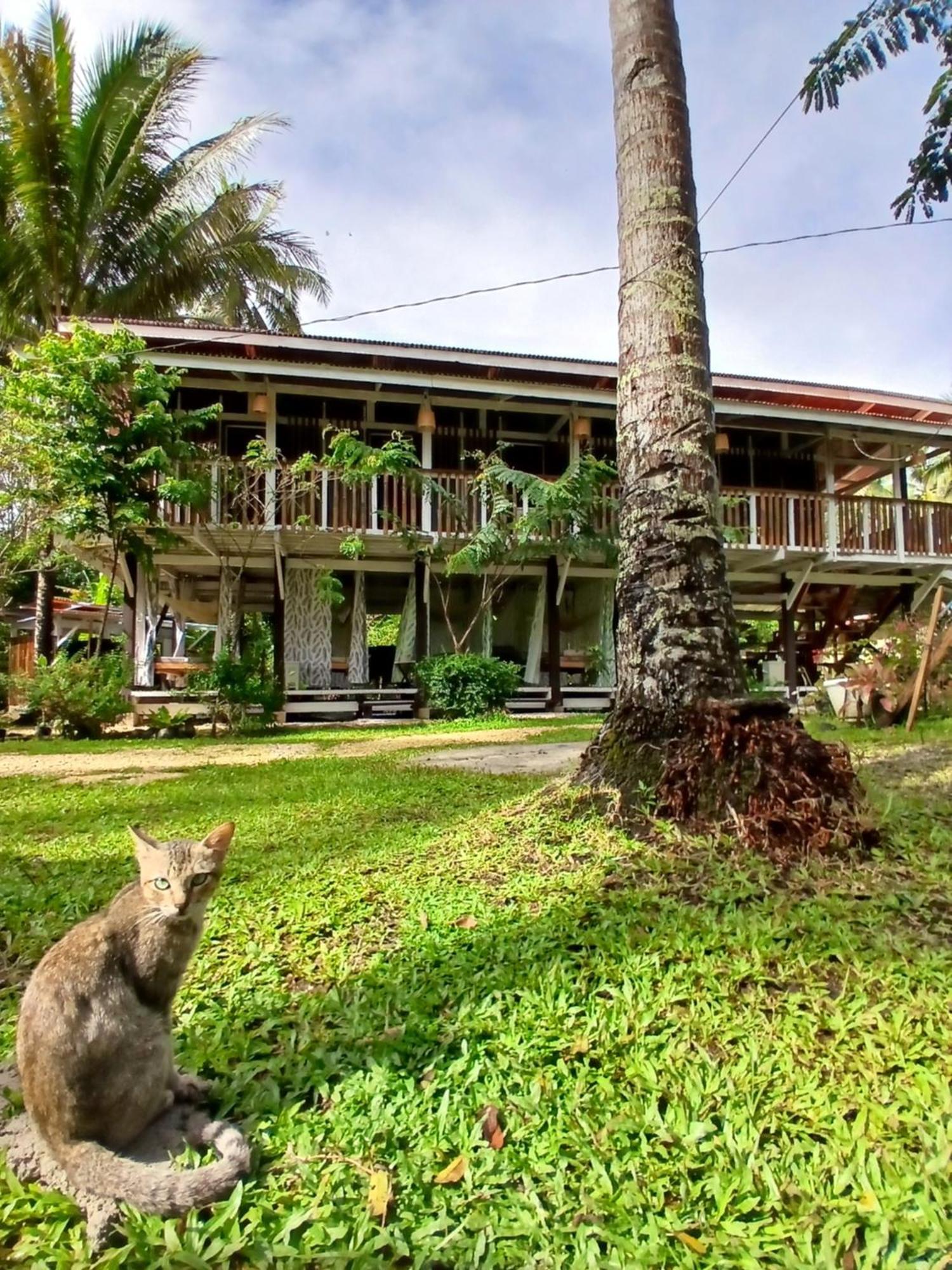 Bohol Hammock Hostel Batuan Екстер'єр фото