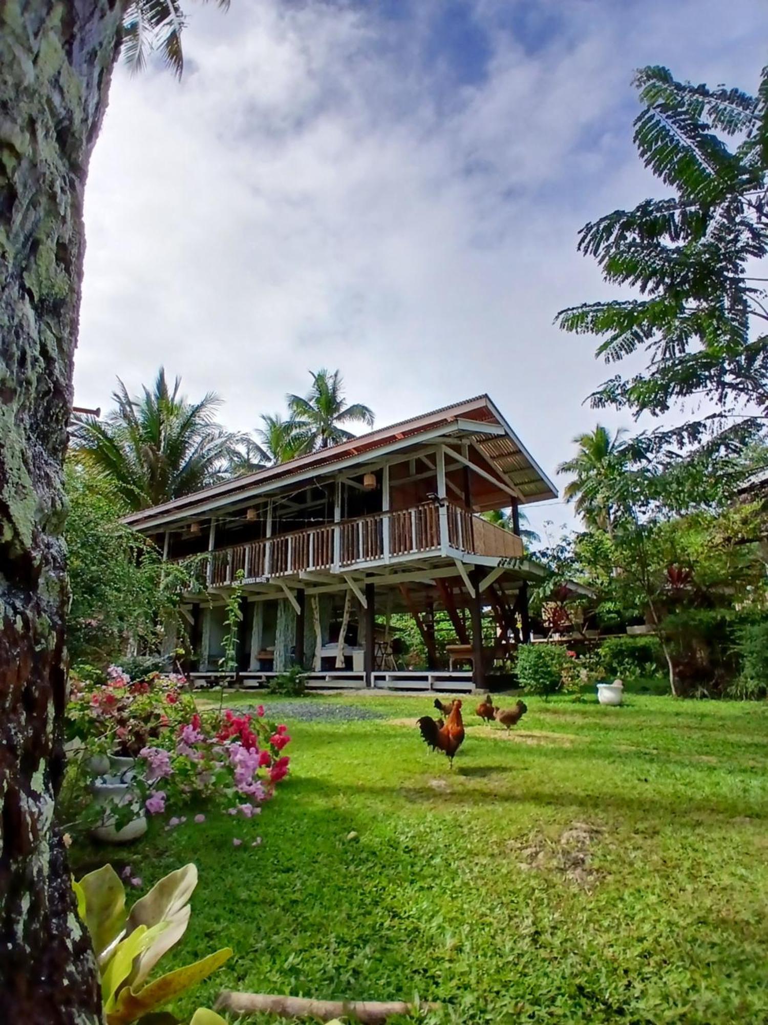 Bohol Hammock Hostel Batuan Екстер'єр фото